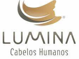 lumina logo